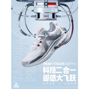 Peak TAICHI 3.0 Pro Men’s Cushioning Running Shoes - White/Silver